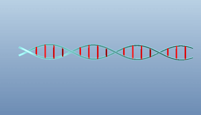 Proe三维建模（14）：DNA模型
